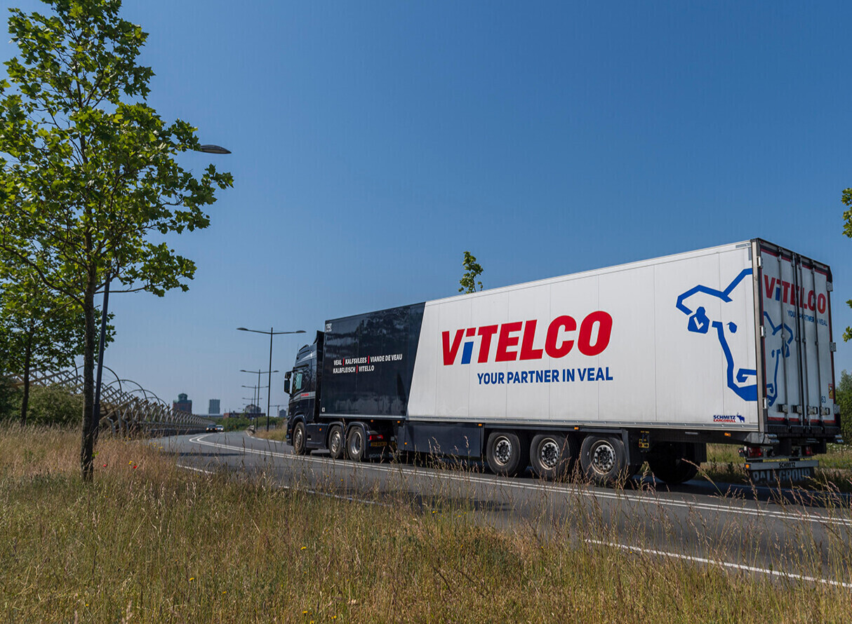 Vitelco in cijfers