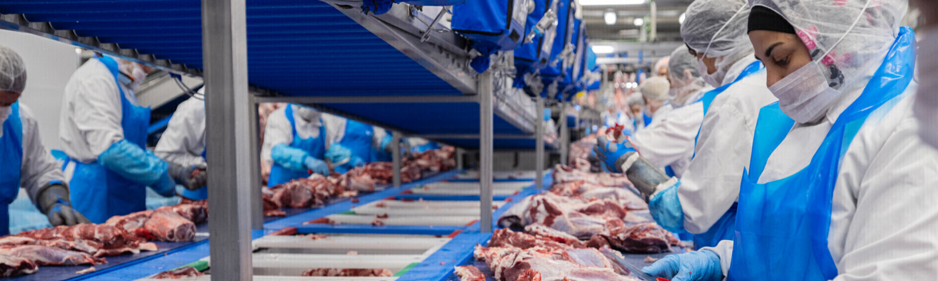 Abattoir spécialisé